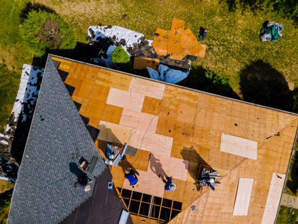 Best Roof Maintenance Services  in Highlands, CA